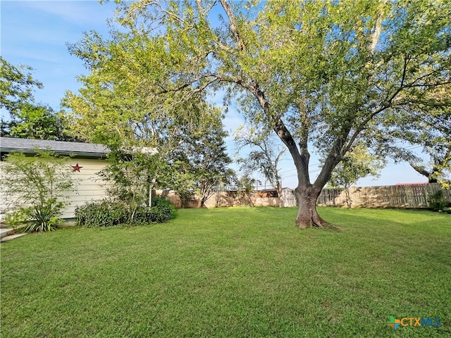 view of yard