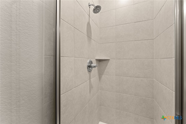 216 Gulfton St, Lakeway, TX 78738 - bathroom view of a stall shower
