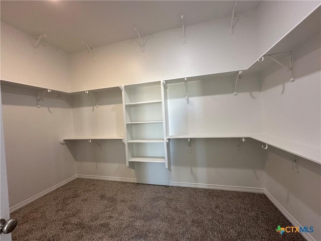 walk in closet with carpet