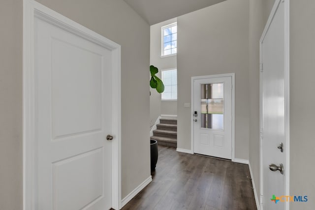 foyer with hardwood / wood-style flooring