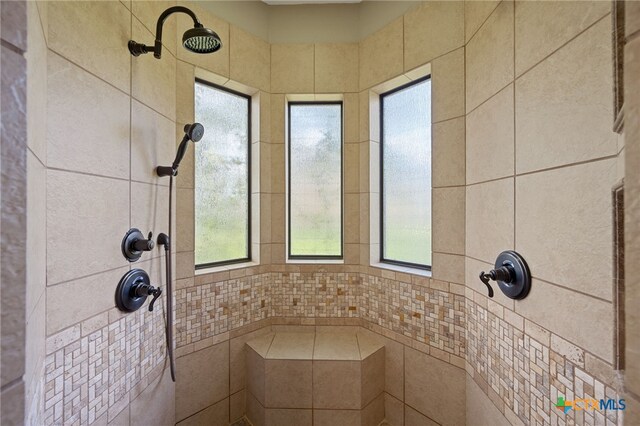 1448 Decanter Dr, New Braunfels, TX 78132 - full bath featuring a tile shower