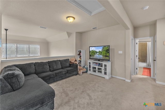 living room featuring a textured ceiling and light carpet