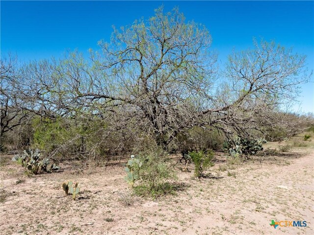 TBD County Road 131, George West, TX 78022 - photo 19