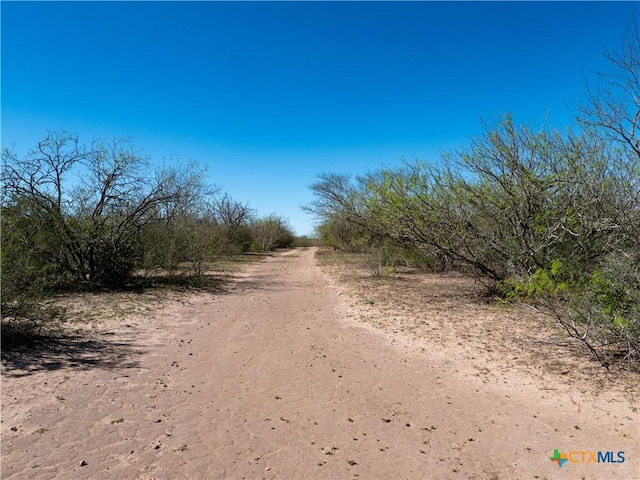 TBD County Road 131, George West, TX 78022 - photo 6