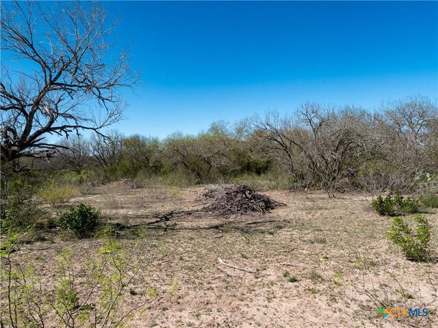 TBD County Road 131, George West, TX 78022 - photo 17