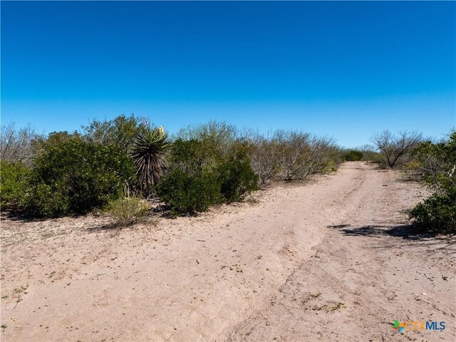 TBD County Road 131, George West, TX 78022 - photo 16