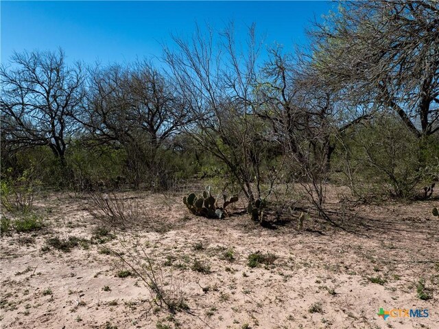 TBD County Road 131, George West, TX 78022 - photo 18