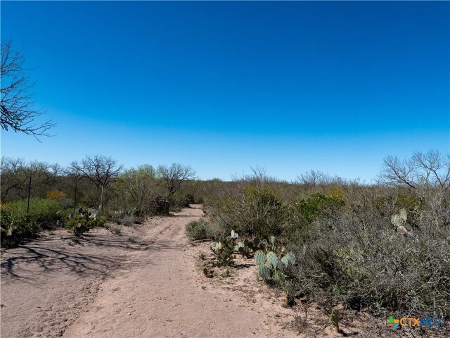 TBD County Road 131, George West, TX 78022 - photo 10