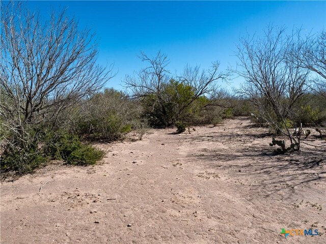 TBD County Road 131, George West, TX 78022 - photo 12