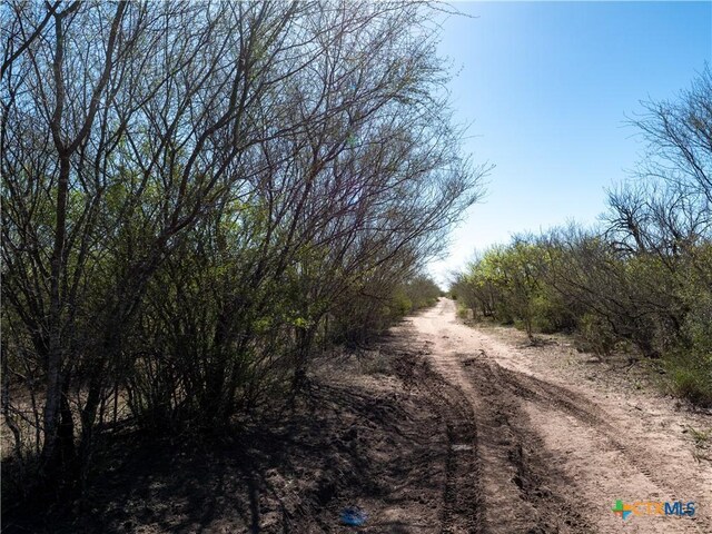 TBD County Road 131, George West, TX 78022 - photo 5