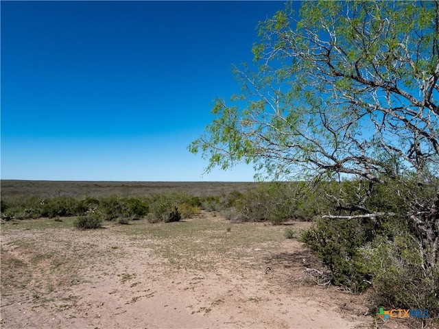 TBD County Road 131, George West, TX 78022 - photo 8