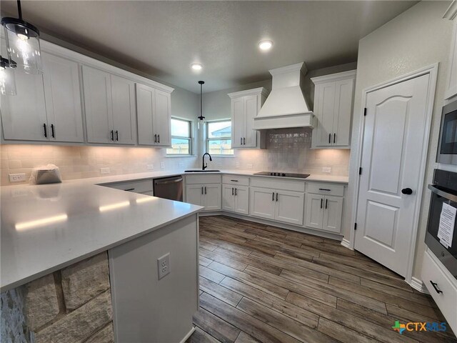 719 Eagle Claw Dr, Salado, TX 76571 - kitchen featuring custom range hood, appliances with stainless steel finishes, dark wood-type flooring, light countertops, and white cabinetry