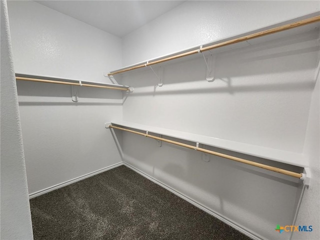 719 Eagle Claw Dr, Salado, TX 76571 - spacious closet featuring carpet