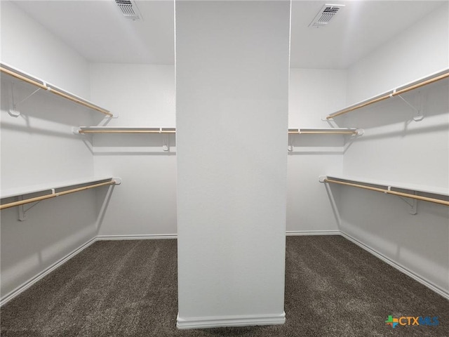 719 Eagle Claw Dr, Salado, TX 76571 - spacious closet with carpet floors