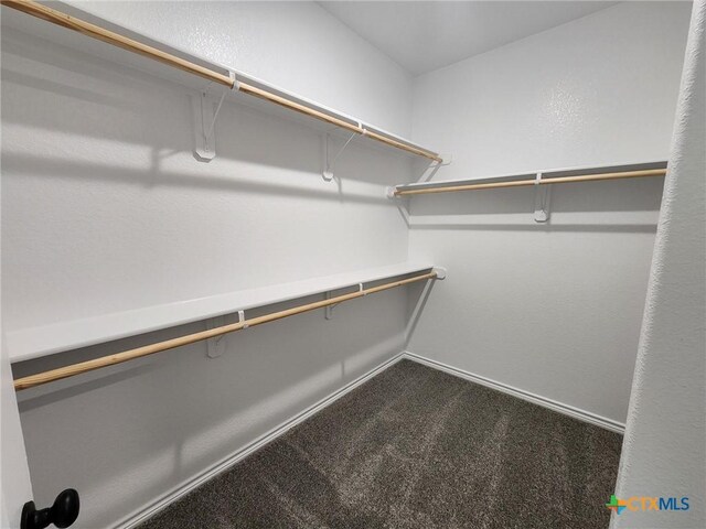 719 Eagle Claw Dr, Salado, TX 76571 - spacious closet with dark carpet