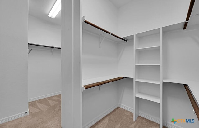 walk in closet with carpet floors