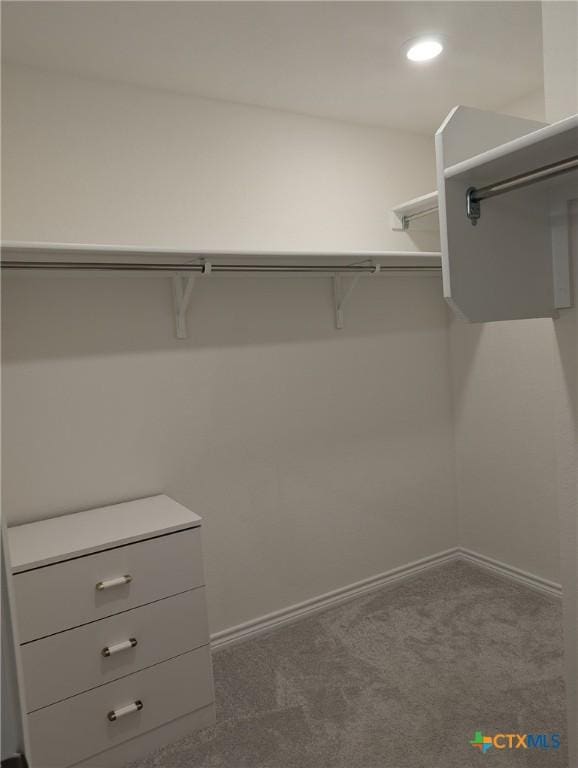 4177 Harper Lee Ln, New Braunfels, TX 78130 - walk in closet featuring carpet
