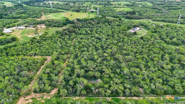 TBD Jakes Colony, Seguin, TX 78155 - photo 4