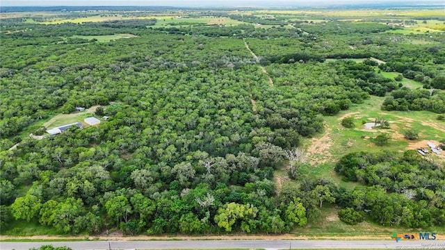TBD Jakes Colony, Seguin, TX 78155 - photo 2
