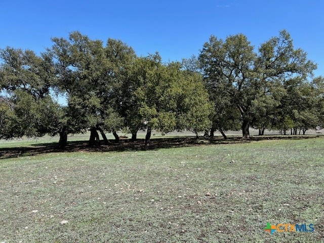 view of yard with a rural view