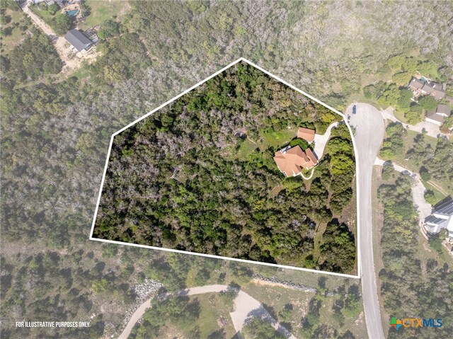 171 Clear Rdg, New Braunfels, TX 78132 - aerial view