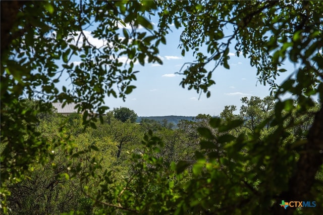 171 Clear Rdg, New Braunfels, TX 78132 - photo 33