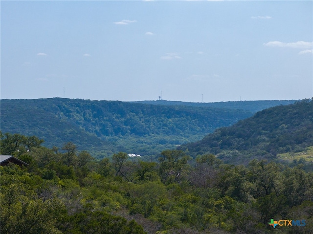 171 Clear Rdg, New Braunfels, TX 78132 - photo 32