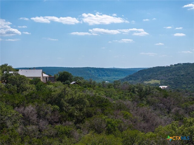 171 Clear Rdg, New Braunfels, TX 78132 - photo 29