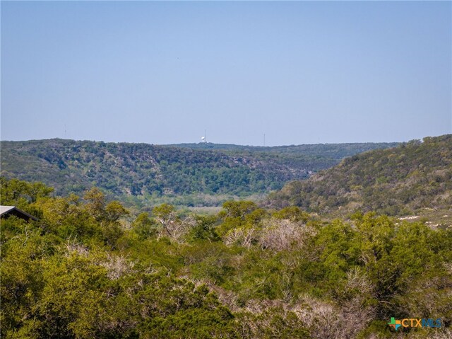 171 Clear Rdg, New Braunfels, TX 78132 - mountain view featuring a view of trees