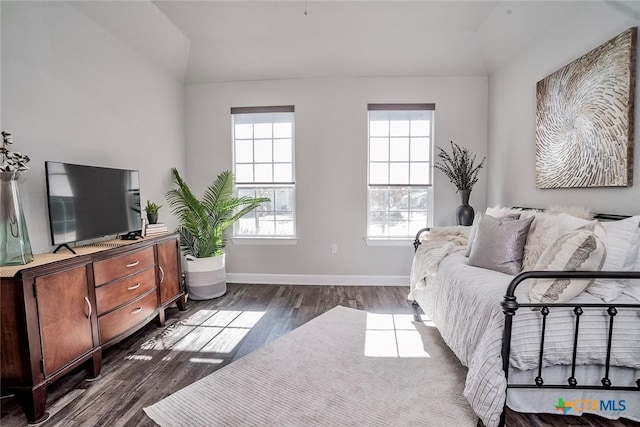 interior space featuring dark wood-type flooring, lofted ceiling, and a wealth of natural light