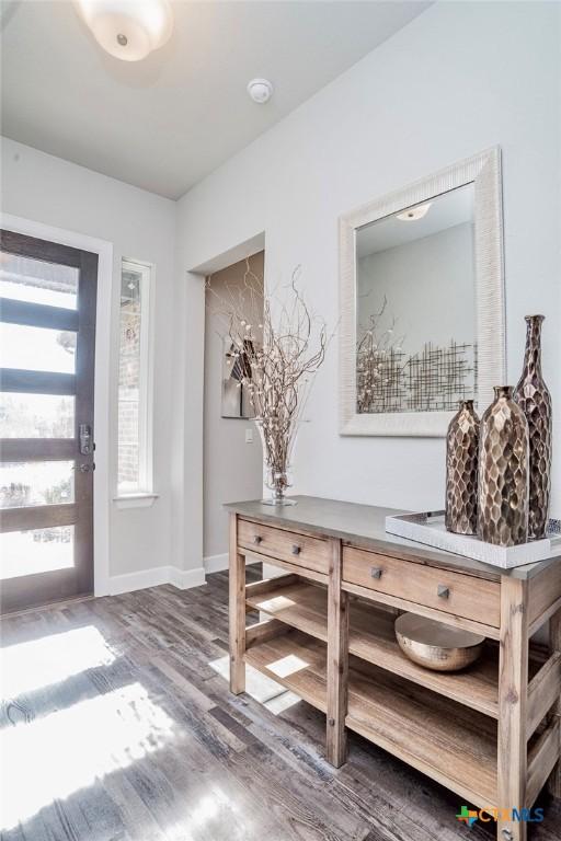 entryway featuring dark wood-type flooring