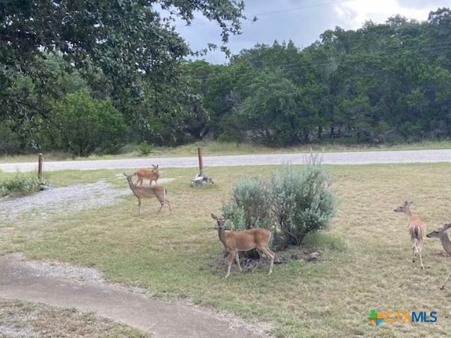 view of property's community with a rural view and a yard