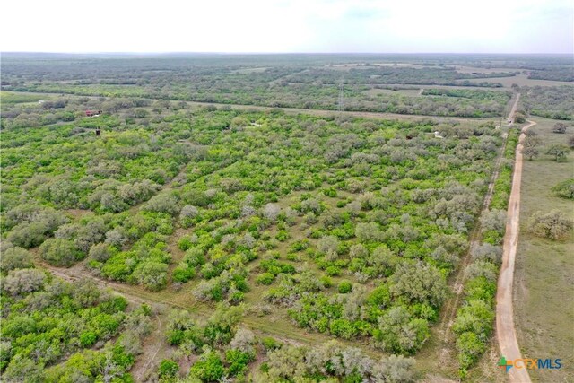 4025 Oil Field Rd, Goliad, TX 77963 - photo 11