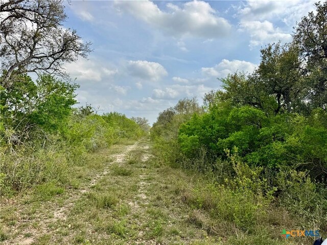 4025 Oil Field Rd, Goliad, TX 77963 - photo 3