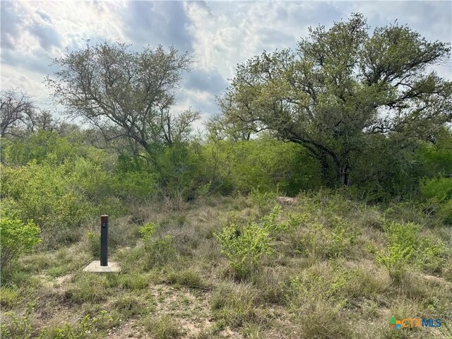 4025 Oil Field Rd, Goliad, TX 77963 - photo 46