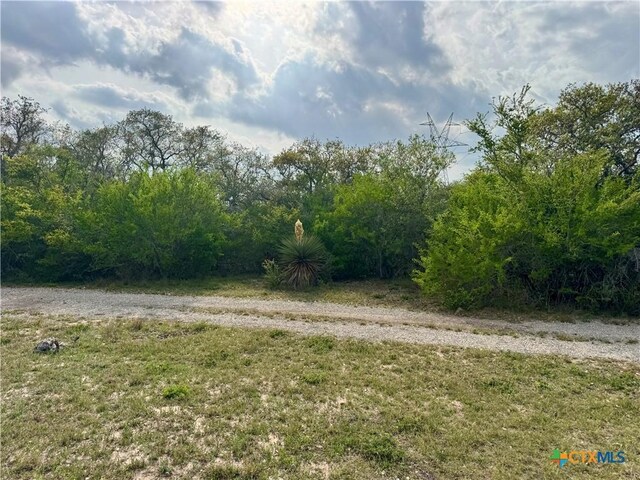 4025 Oil Field Rd, Goliad, TX 77963 - photo 14
