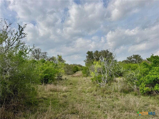 4025 Oil Field Rd, Goliad, TX 77963 - photo 6