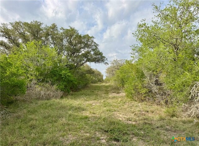 4025 Oil Field Rd, Goliad, TX 77963 - photo 5