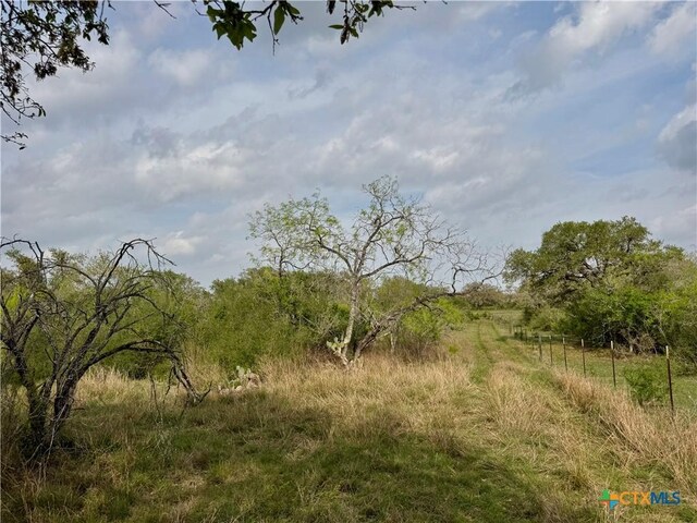 4025 Oil Field Rd, Goliad, TX 77963 - photo 7