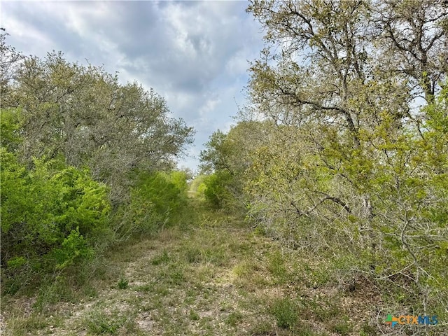 4025 Oil Field Rd, Goliad, TX 77963 - photo 44