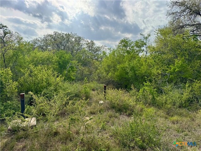 4025 Oil Field Rd, Goliad, TX 77963 - photo 15