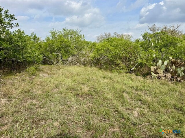 4025 Oil Field Rd, Goliad, TX 77963 - photo 43