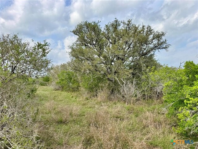 4025 Oil Field Rd, Goliad, TX 77963 - photo 4