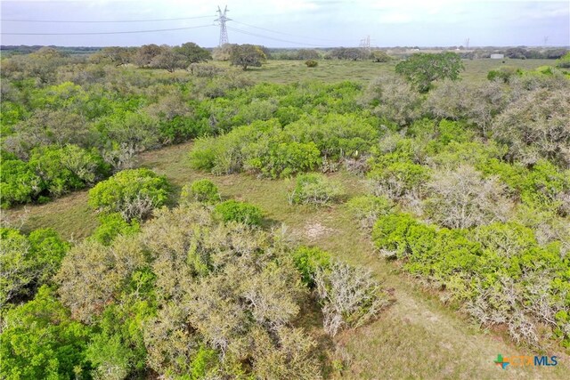 4025 Oil Field Rd, Goliad, TX 77963 - photo 8