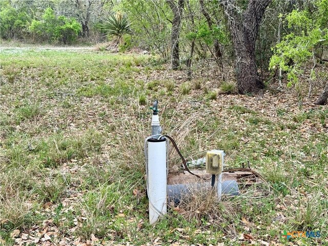 4025 Oil Field Rd, Goliad, TX 77963 - photo 38