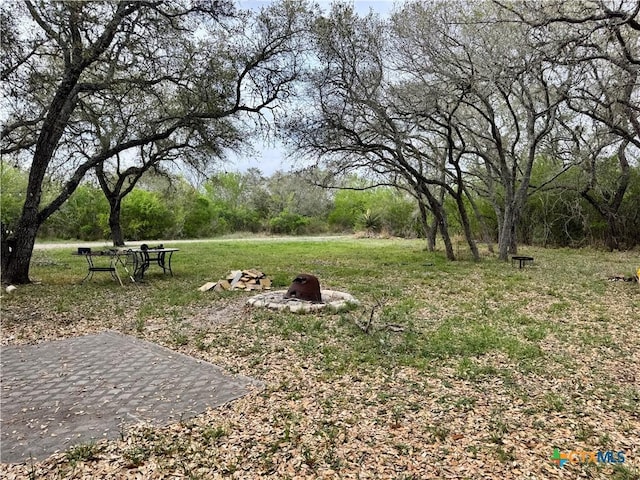 4025 Oil Field Rd, Goliad, TX 77963 - photo 1