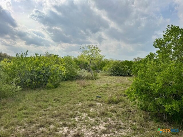 4025 Oil Field Rd, Goliad, TX 77963 - photo 2