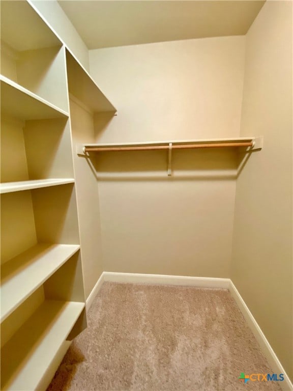 walk in closet with carpet floors