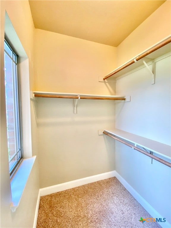 walk in closet with carpet