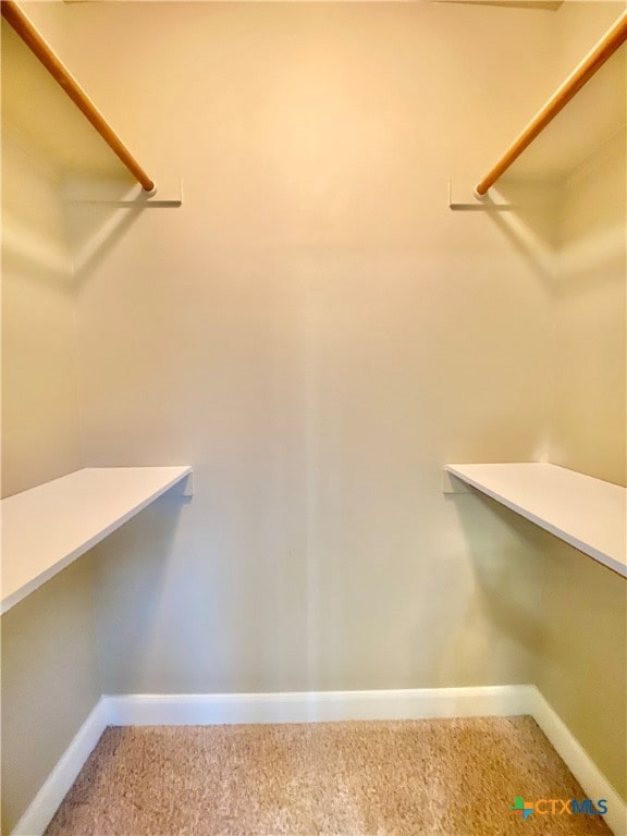 spacious closet featuring carpet flooring